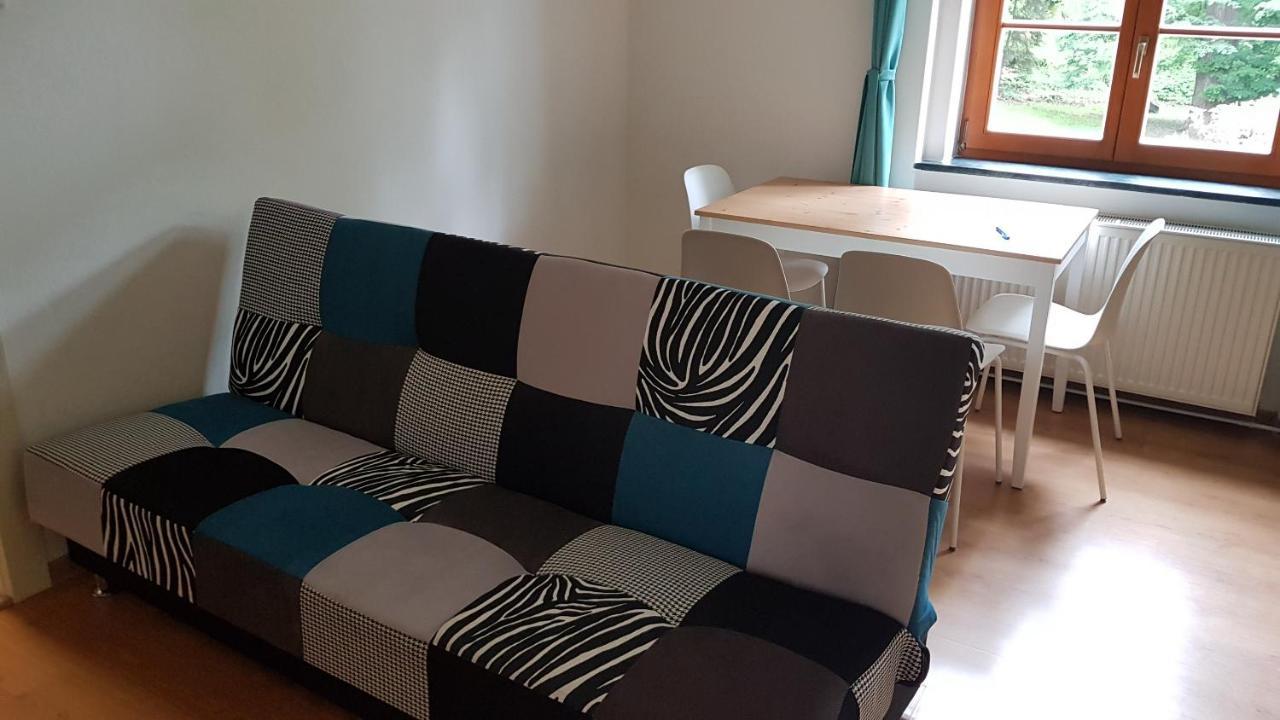 Apartman Pod Zamkem เดชชิน ภายนอก รูปภาพ