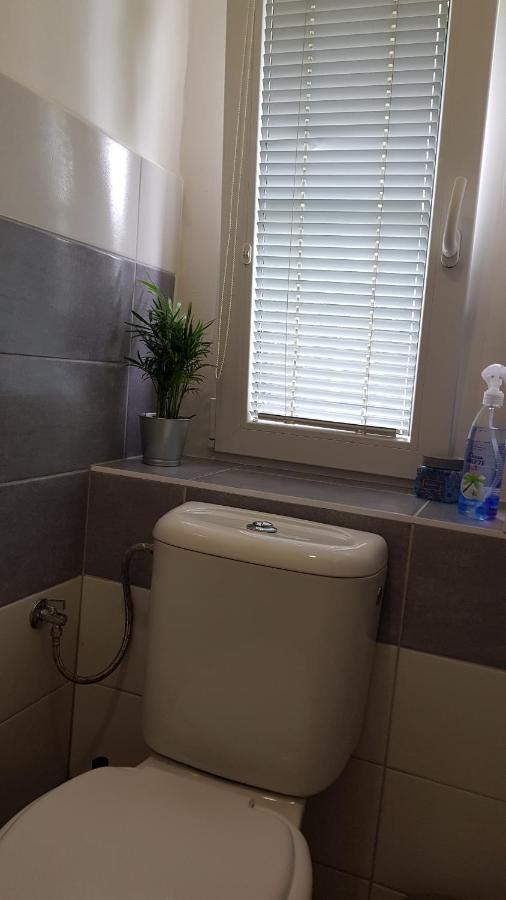 Apartman Pod Zamkem เดชชิน ภายนอก รูปภาพ