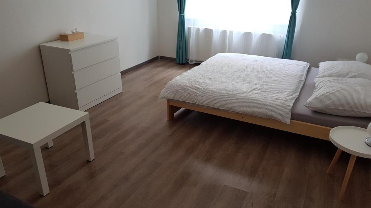 Apartman Pod Zamkem เดชชิน ภายนอก รูปภาพ
